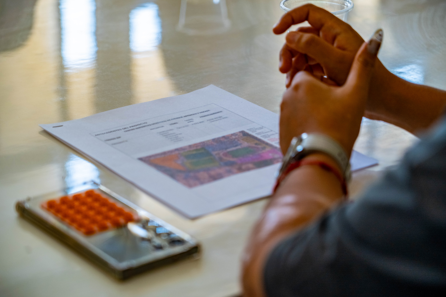 Pista de patinaje.png